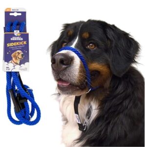 Heather's Heroes The Sidekick No-Pull Leash